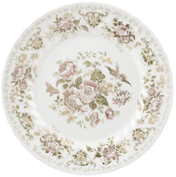 Dinner Plate